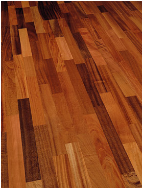 ������ - ��������� ����� Wood Bee